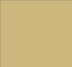 Tru-Color 860 Brushable Paint Flat Medium Flesh - 1 oz. Bottle