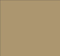Tru-Color 861 Brushable Paint Flat Light Mocha Flesh - 1 oz. Bottle