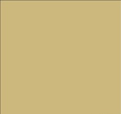 Tru-Color 864 Brushable Paint Flat Mediterranean Flesh - 1 oz. Bottle