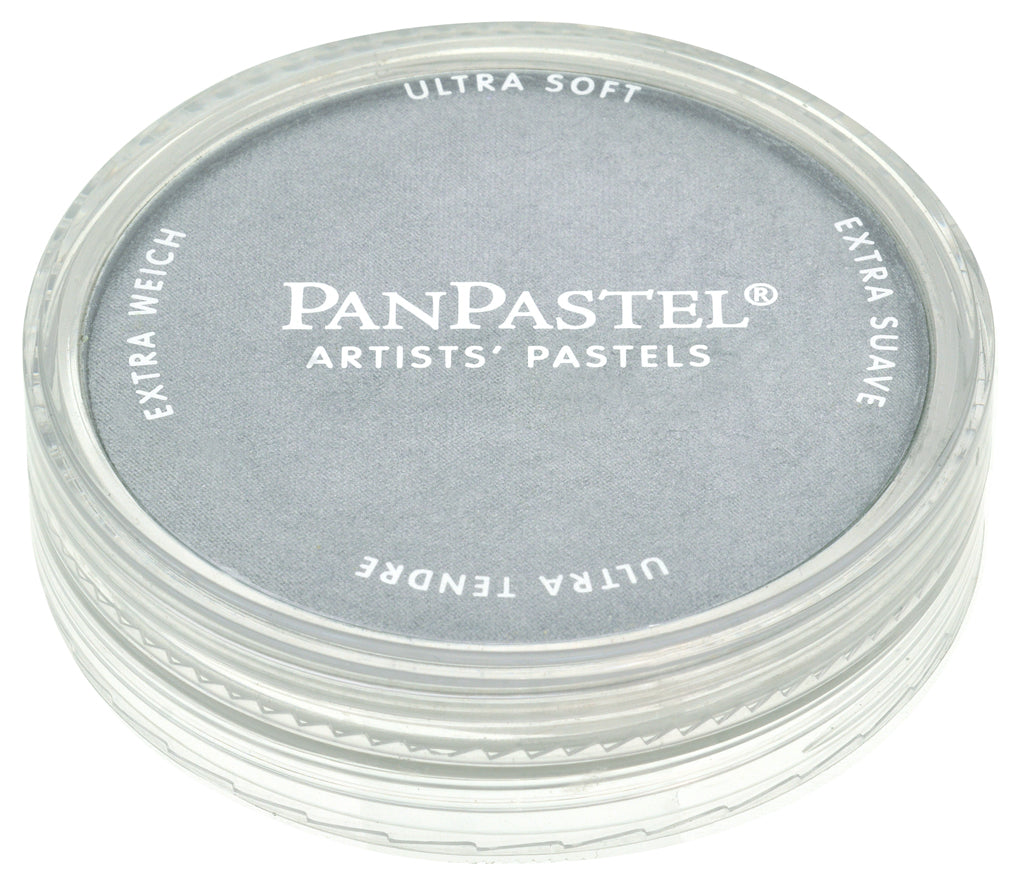 PanPastel 29215 921.5 Pewter