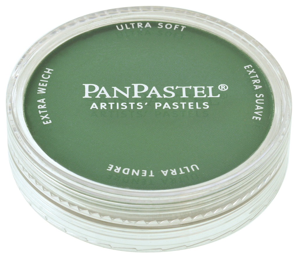 PanPastel 26403 640.3 Permanent Green Shade