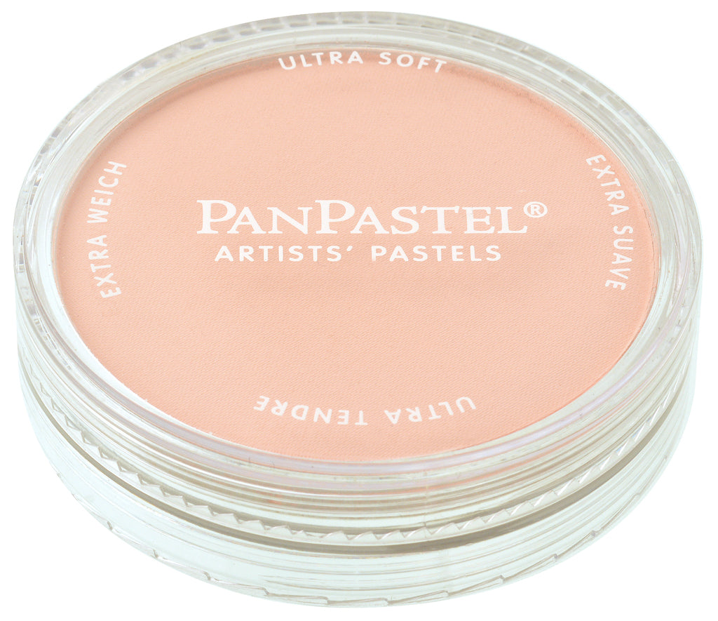 PanPastel 23808 380.8 Red Iron Oxide Tint