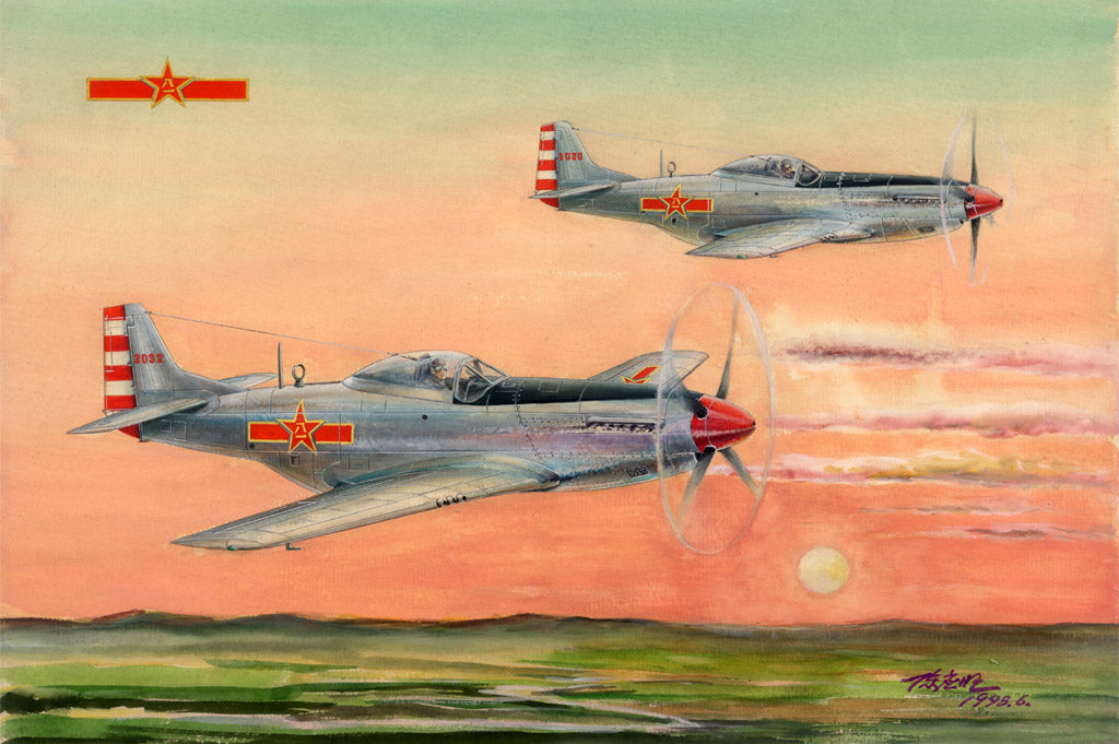Hobby Boss Models 85807 1:48 North American PLAAF P-51D/K Mustang Plane Kit