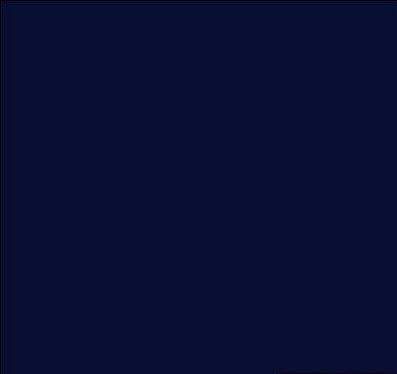Tru-Color 1022 Military Naval Ships Norfolk 250N Flight Deck Stain - 1oz. Bottle