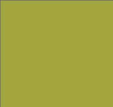 Tru-Color 1039 Military Acrylic Naval Ships 5-LG Light Green 1943 1oz. Bottle