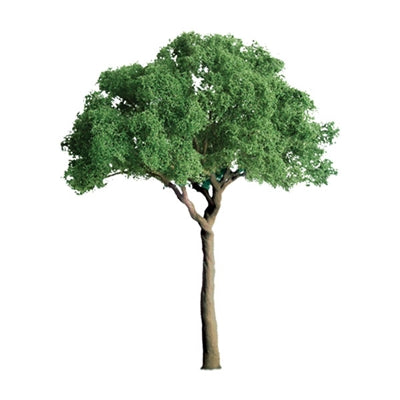 JTT Scenery Products 94398 Z .5" Pro Green Jacaranda Tree (Pack of 6)