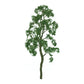 JTT Scenery Products 94416 Multiscale 2" Pro Birch Tree (Pack of 4)