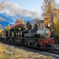 LGB 26701 G Roaring Camp & Big Trees Railroad Shay Steam Locomotive #7