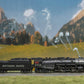 Marklin 37983 HO Southern Pacific Berkshire 2-8-4 Steam Locomotive #3505