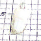 Lionel 8352-311 14 Volt Clear Light Bulb with Plastic Base