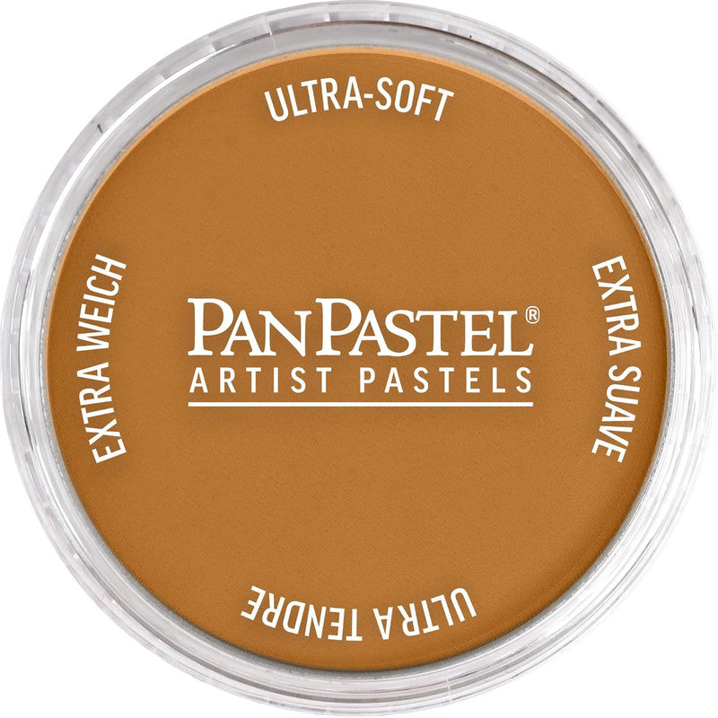 PanPastel 27105 Raw Sienna Ultra Soft Artist Pastel