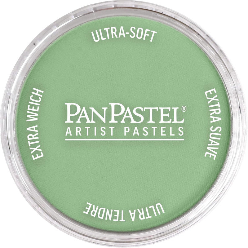 PanPastel 26607 Chromium Oxide Green Light Ultra Soft Artist Pastel