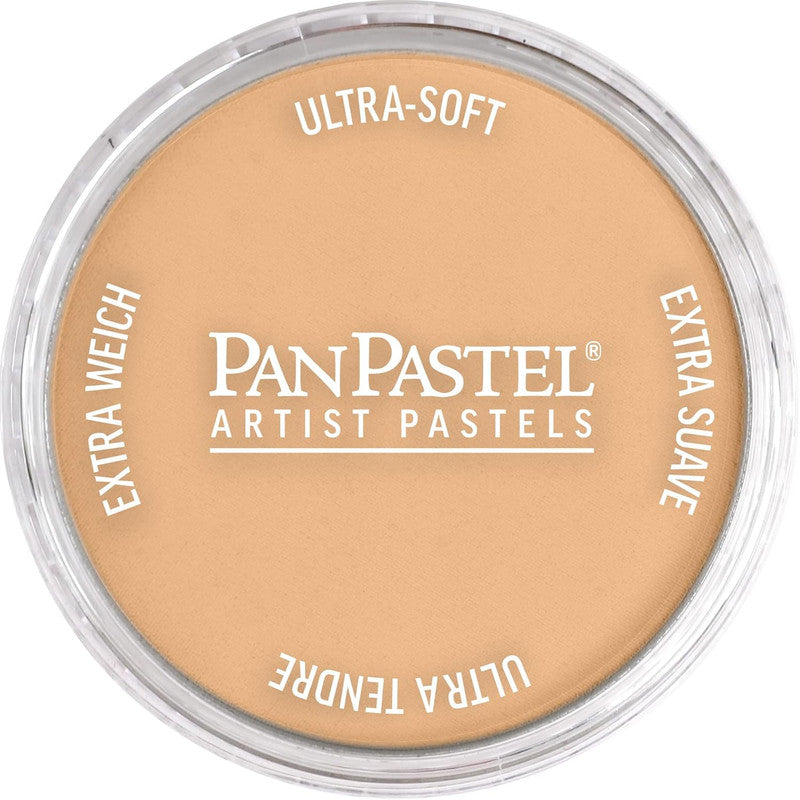 PanPastel 27107 Raw Sienna Light Ultra Soft Artist Pastel