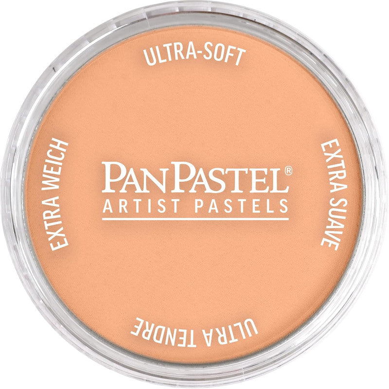 PanPastel 27407 Burnt Sienna Light Ultra Soft Artist Pastel