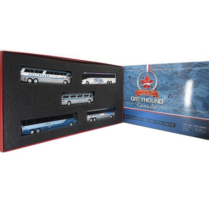 Iconic Replicas 87-0341AE HO Greyhound Canada Tribute Bus Set (Set of 5)