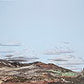 Walthers 949-707 HO Instant Horizons Desert toCountry TransitionBackground Scene
