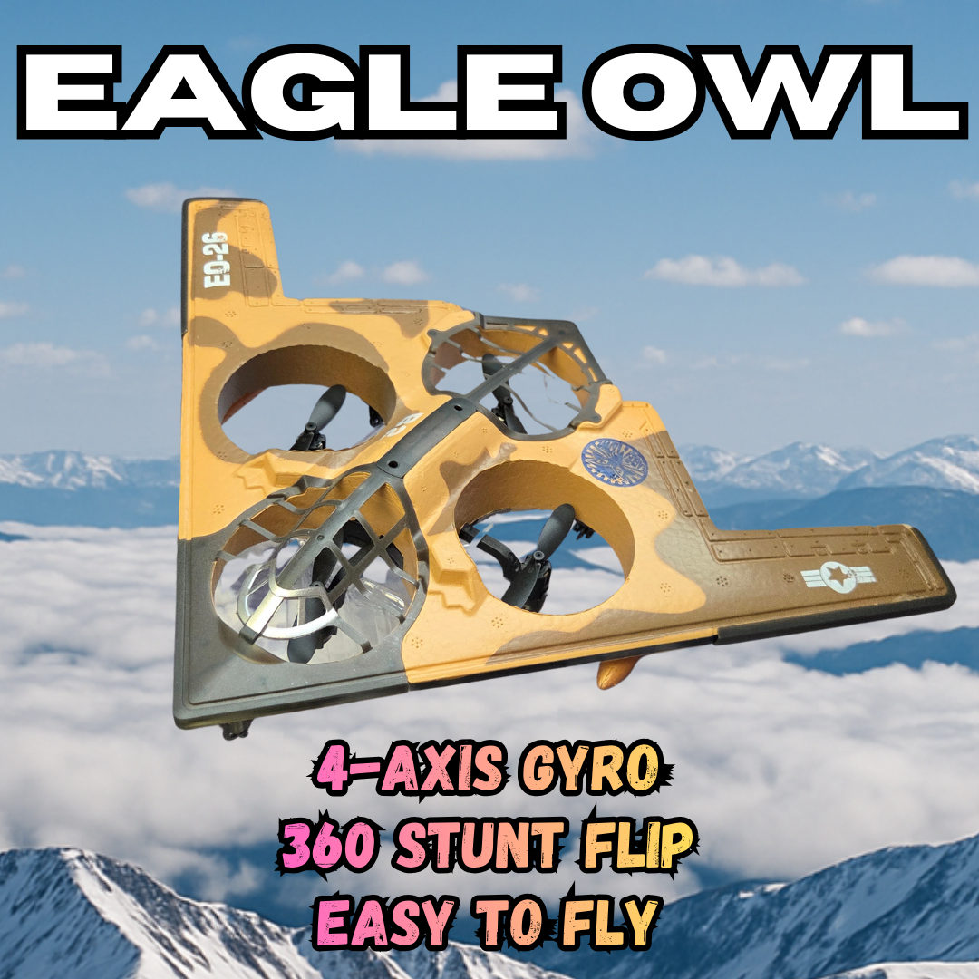 Imex 1312 RC Eagle Owl EO-26 Stealth Bomber