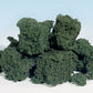 Woodland Scenics FC59 Dark Green Foliage Clusters 45 Cu. In. Bag