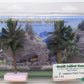 Grand Central Gems T25 Mexican Palm Trees Medium (Set of 2)