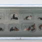 Preiser 14168 HO Animals - Hens and Cocks Figures (Set of 18)
