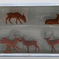 Preiser 14179 HO Animals - Stags Figures (Set of 5)