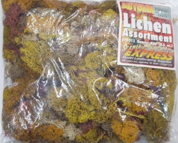 Scenic Express EX8012 Assortment Autumn Lichen 1/4 Kilo Bag