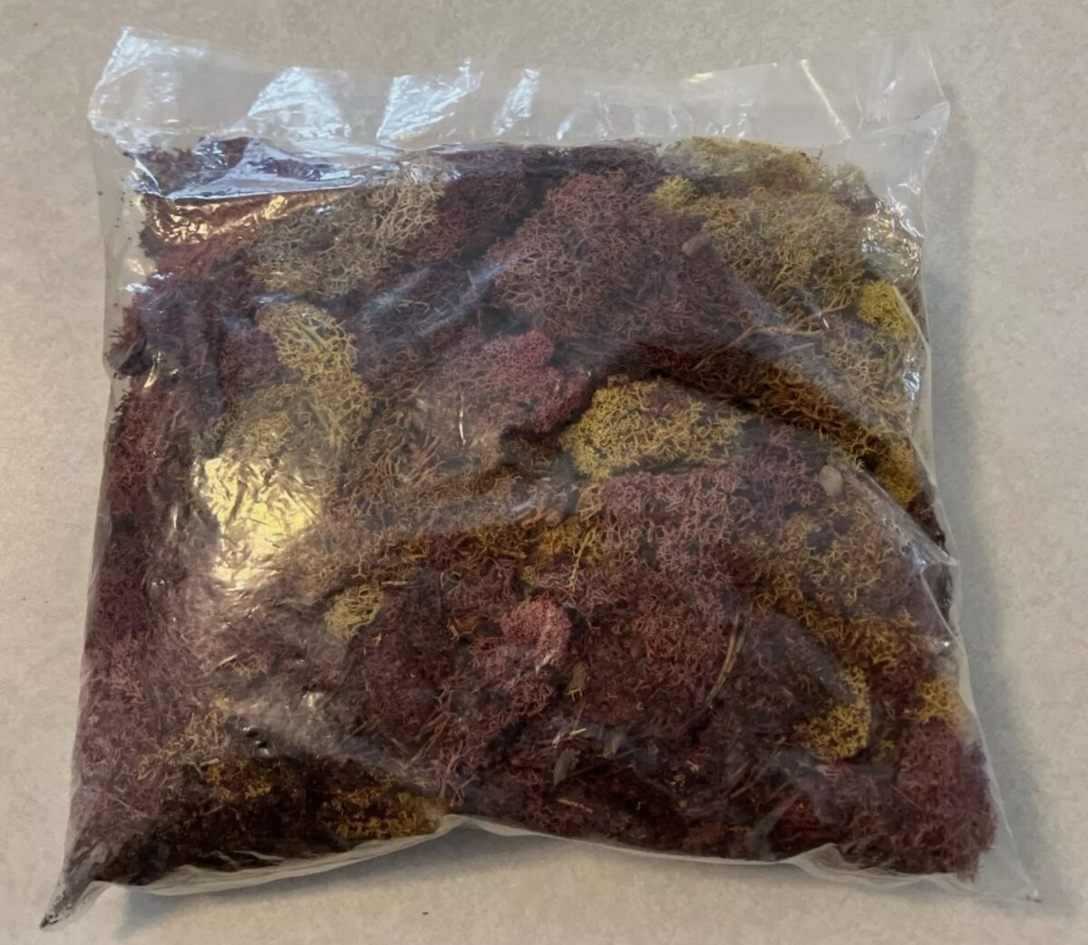 Scenic Express EX8012 Assortment Autumn Lichen 1/4 Kilo Bag