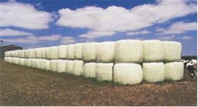 The N Scale Architect 20002 N Wrapped Rolled Hay Bales (Pack of 5)