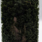 Woodland Scenics FC1646 Medium Green Bushes 32 Oz. Shaker