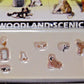 Woodland Scenics A2140 N Scenic Accents Dogs & Cats Figures (Set of 12)