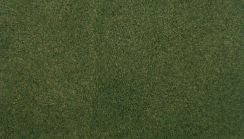 Woodland Scenics RG5123 Ready Grass 50