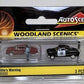 Woodland Scenics AS5333 N Scale AutoScenes Willie''s Warning (Pack of 2)