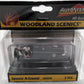 Woodland Scenics AS5530 HO AutoScenes Spoonin'-N-Croonin'