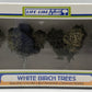 Life Like 1004 HO / N / O & S Scale White Birch Trees (Pack of 4)
