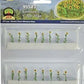 JTT Scenery Products 95523 HO 1" Tall Sunflowers (Pack of 16)
