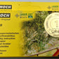 Noch 14606 N Fern Plants (18)