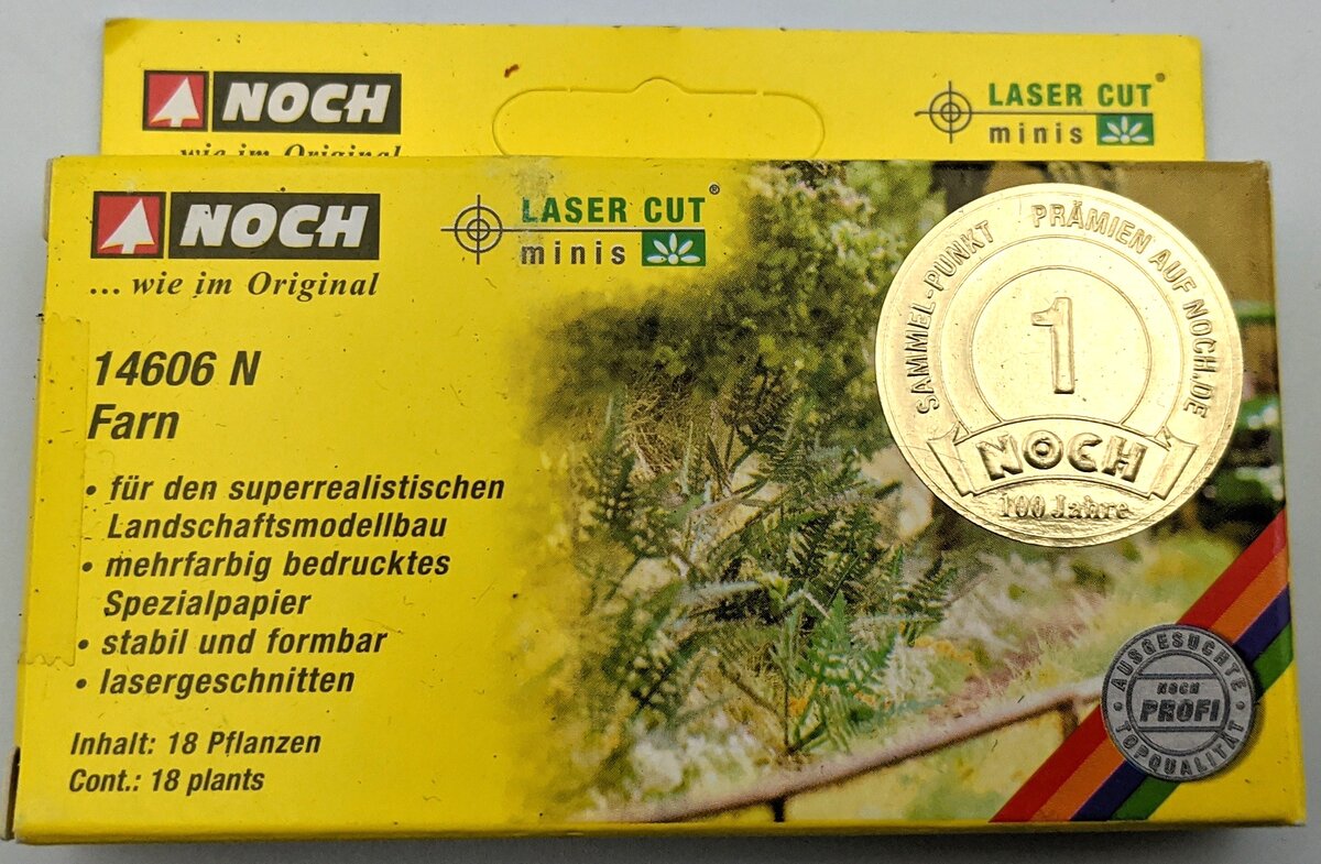Noch 14606 N Fern Plants (18)