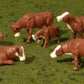 Bachmann 33152 O Cows Brown/White (Set of 6)