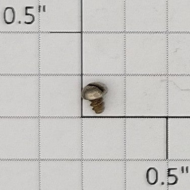 American Flyer S-147 907 Boom Car #2 x 1/8" Pan Head Slotted Self Tapping Screw