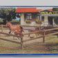 Pola 988 G Scale Field Fence Building Kit
