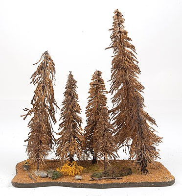 Grand Central Gems AST1 3-9 Assorted Spruce Pines (Set of 7)