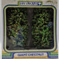 Life Like 1017 HO/N/O/S Scale Giant Chestnut Trees (Box of 2)