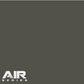 AK Interactive AK11840 Air Series RAF Dark Green 17 ml Paint Bottle