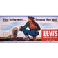 Dwarvin DVBB103-FP HO Unassembled Fiber-Lit Levis Billboard