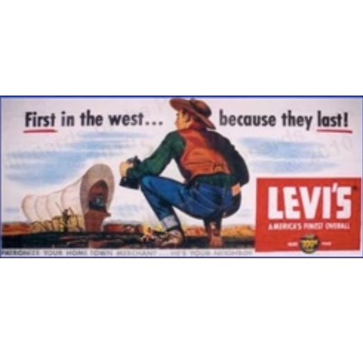 Dwarvin DVBB103-FP HO Unassembled Fiber-Lit Levis Billboard