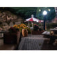 Dwarvin DVSL103BL HO Fiber-Lit Globe Lamps (Pack of 3)