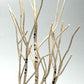 Lemax 34967 O Scale Tree Arbre Medium Birch Tree Stand