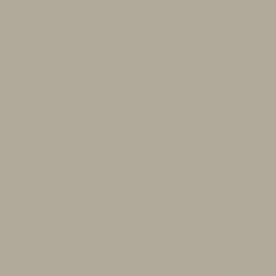 Tru-Color 2330 CBQ Gray #2 Railroad Color Acrylic - 2 oz. Paint Bottle
