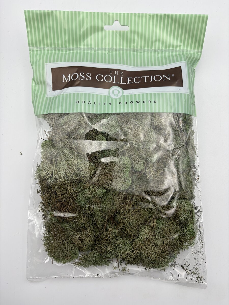 Quality Growers 261990 Reindeer Moss Basil 108.5 Cu In Bag