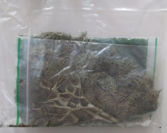 IHC 81070 HO Scale Knotted Old Trees Metal Armature Kit (Pack of 3)